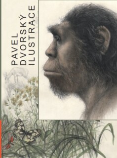 pavel_dvorsky_ilustrace.jpg