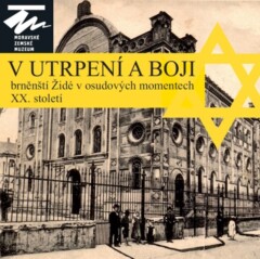 v_utrpeni_a_boji.jpg